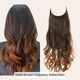 Dark Brown Coppery Reflection
